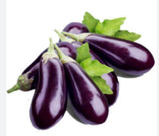 brinjal_بیگن_बैंगन