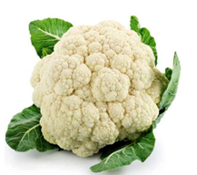cauliflower_گوبھی_फूलगोभी