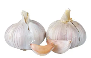 garlic_لہسن_लहसुन
