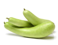 gourd_لوکی_लौकी