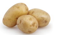 potato_آلو_आलू